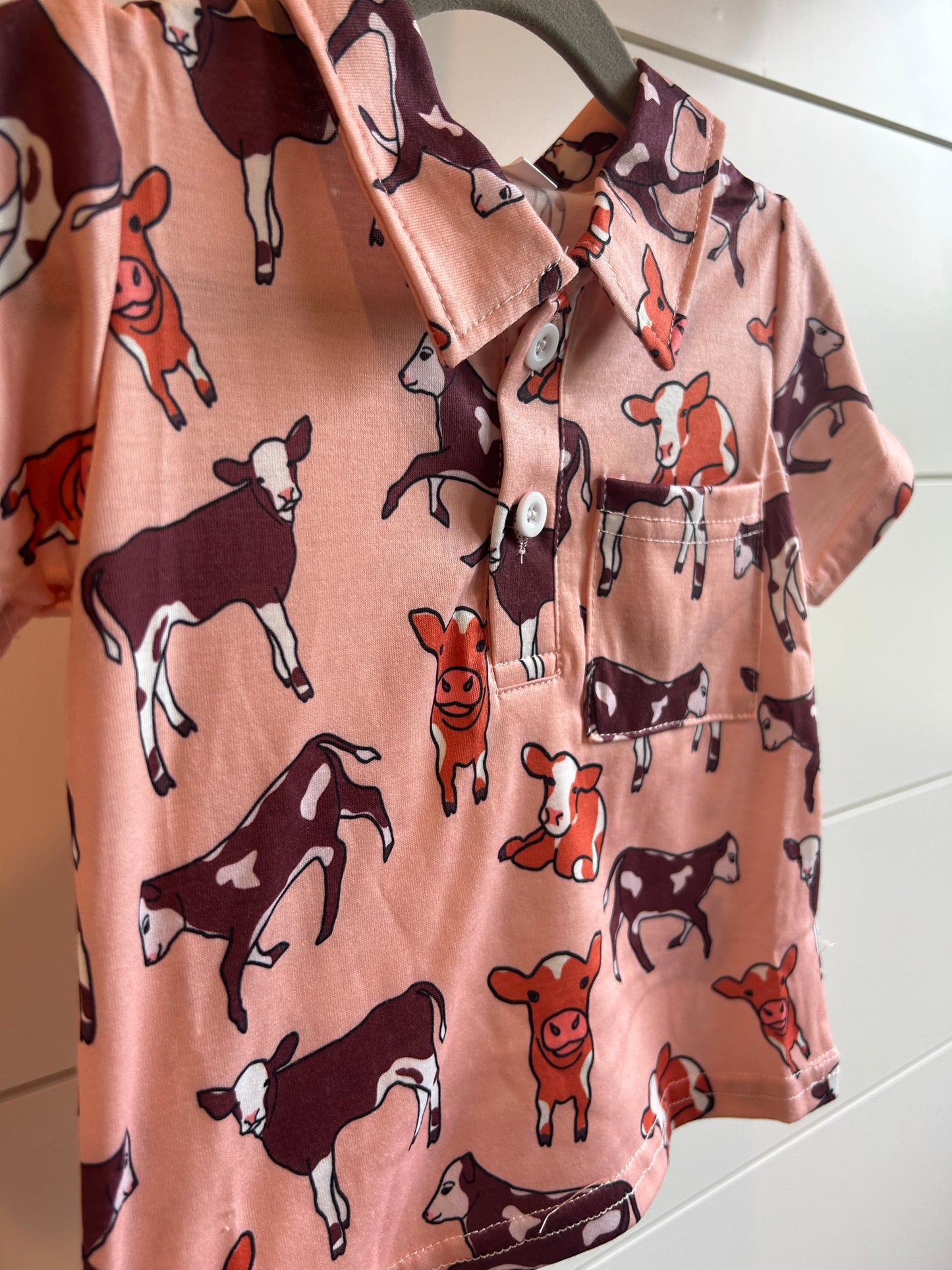 A Boys Herd 2-Button Polo