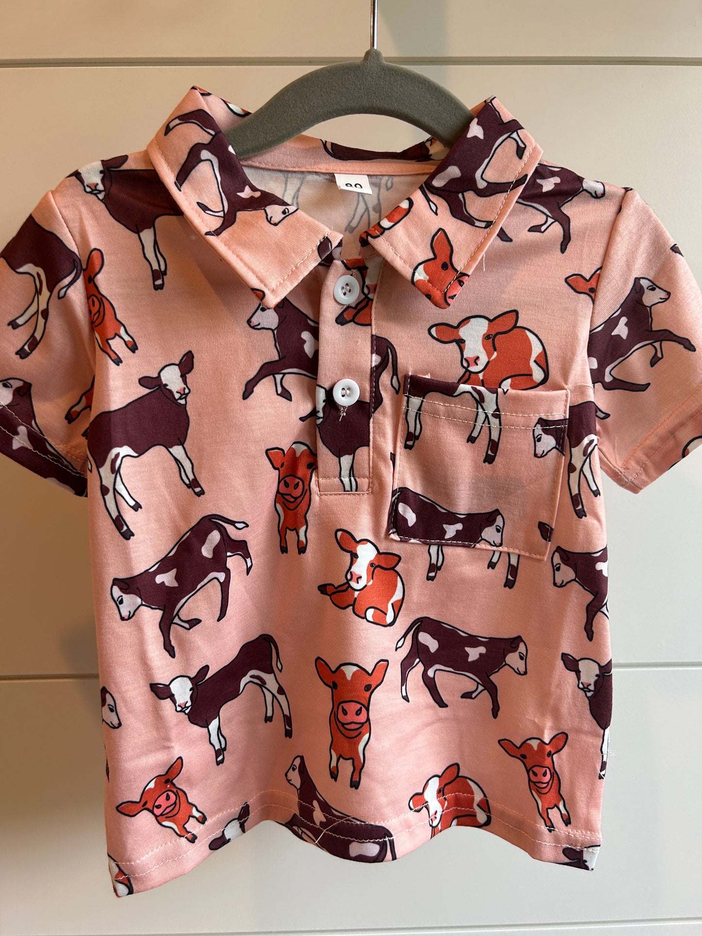 A Boys Herd 2-Button Polo