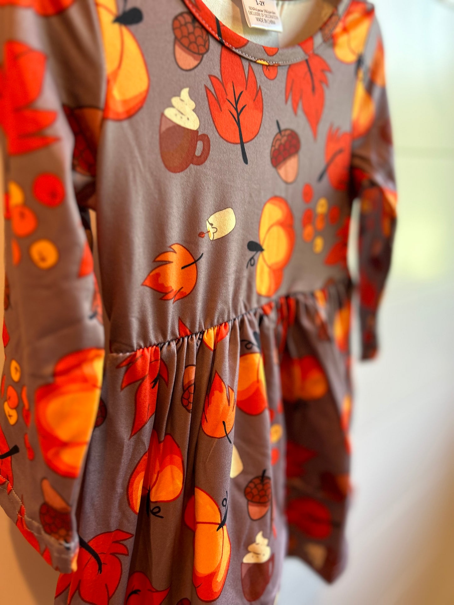 Everything Fall Long Sleeve Dress
