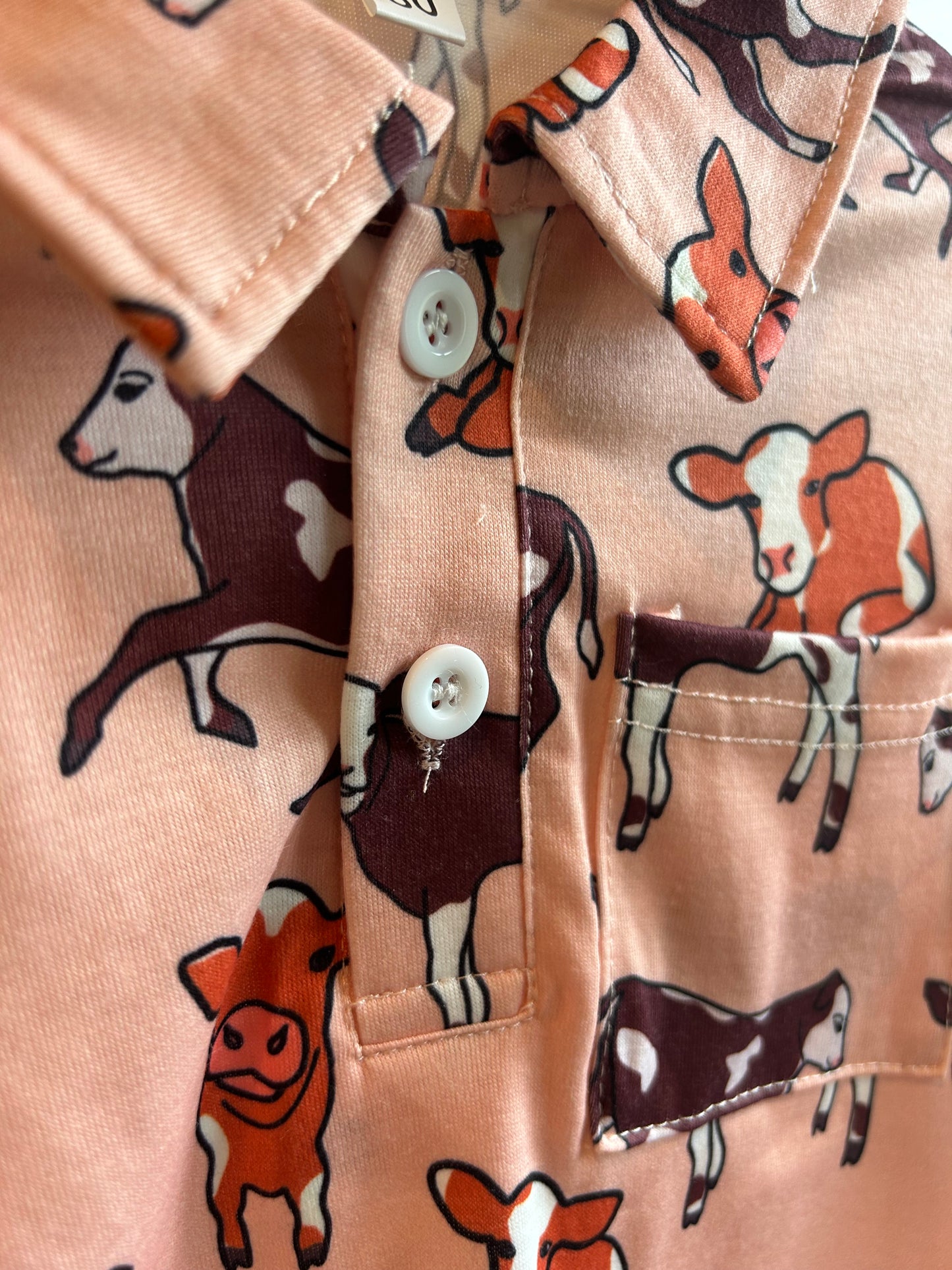 A Boys Herd 2-Button Polo